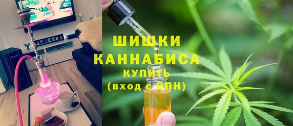 эйфоретик Тайга