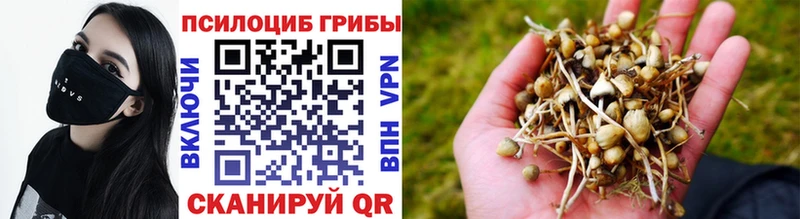 Галлюциногенные грибы Cubensis  Харовск 
